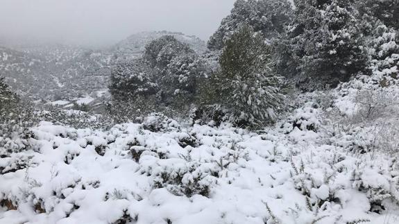 Yunquera vive la nevada más intensa de los últimos 25 años