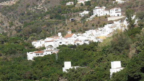 Árchez celebra San Antón el domingo con la tradicional bendición de animales en la romería