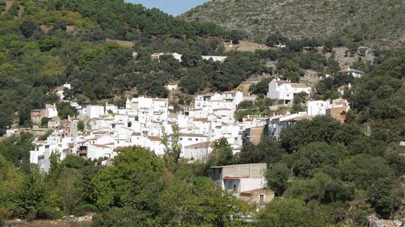 Cinco heridos en Igualeja en el choque entre una furgoneta y un turismo