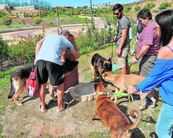 Estepona inicia una campaña para la limpieza de excrementos de perros