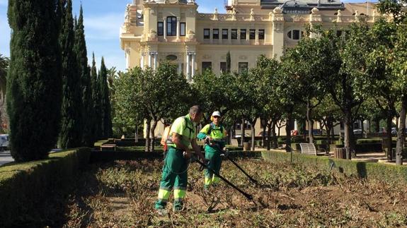 Nuevo manto de plantas en el Parque de Málaga