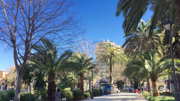 El tercer jardín subtropical de Europa va a por su BIC