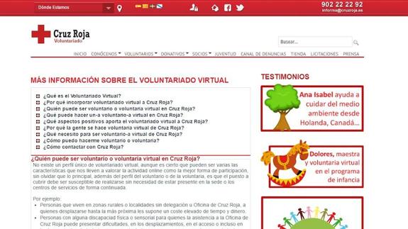 ¿Quieres ser voluntario sin moverte del sofá? Estas ONG te están buscando