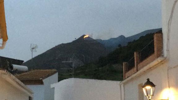 Extinguido un conato de incendio en un paraje de Casarabonela
