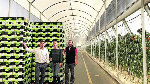 ZOI, del invernadero al mercado europeo sin intermediarios