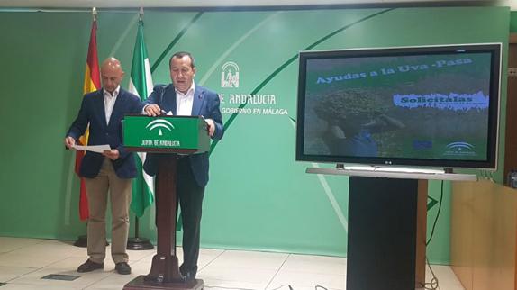 El 'agro' y la pesca se consolidan como el segundo pilar económico de Málaga, con 887 millones de euros en 2016