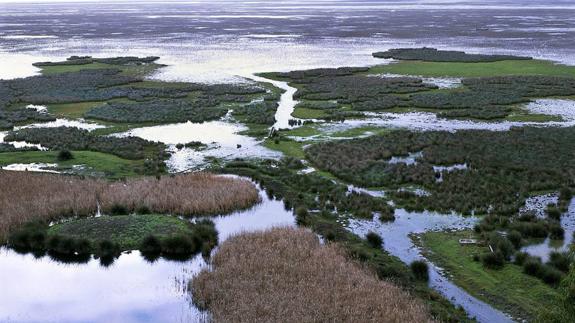 El último informe de la Unesco mantiene la alerta sobre la falta de protección de Doñana