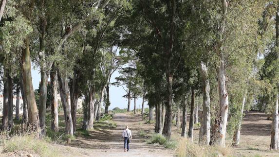 Un auto judicial pone en jaque la apertura del campamento Benítez como parque