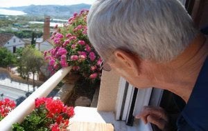 Vecinos de altos vuelos
