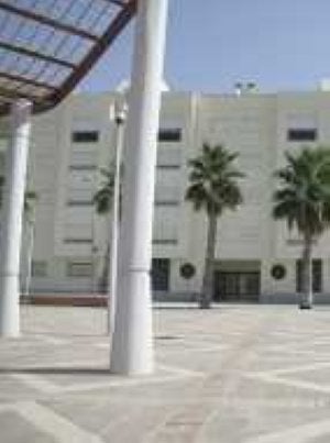 PSOE y CpM cuestionan la política de viviendas del Gobierno local