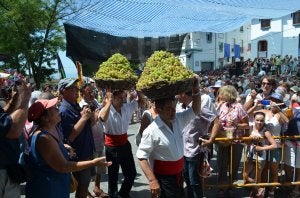 Cómpeta presume de uva moscatel