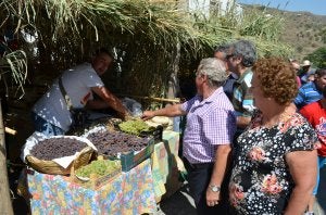Moclinejo, una celebración de pura cepa