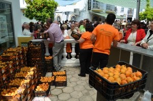Sayalonga saca jugo a sus nísperos