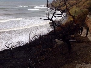 El incendio junto a la playa de Maro se originó por una negligencia