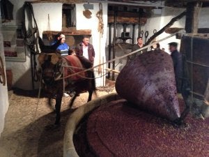Riogordo rinde tributo al aceite verdial